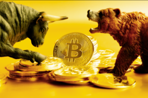 Bull Market vs Bear Market in Crypto