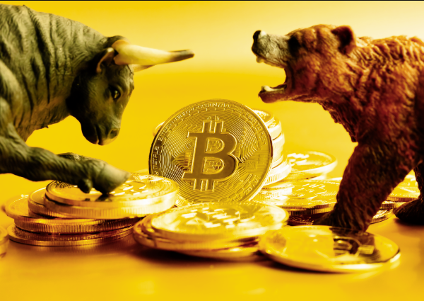 Bull Market vs Bear Market in Crypto