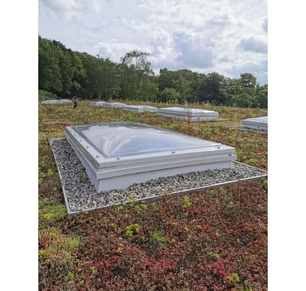 Buy Dome Rooflights Online: What to Look for Before You Shop